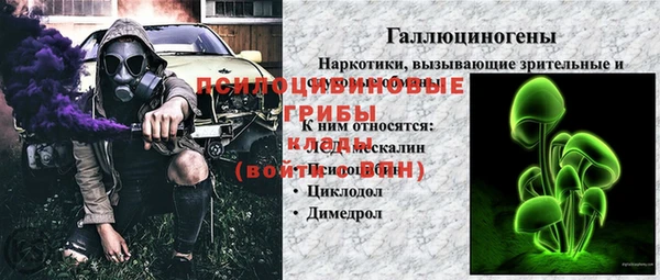 эйфоретик Ладушкин