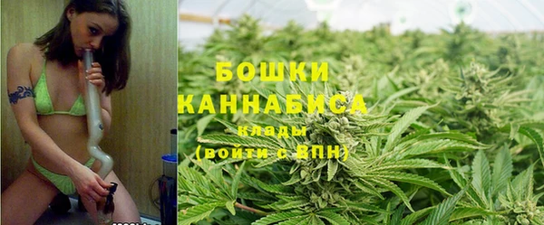 эйфоретик Ладушкин