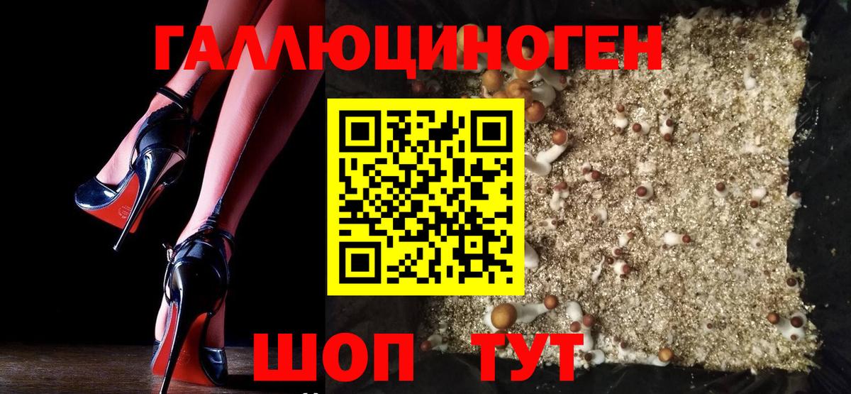 Галлюциногенные грибы Psilocybine cubensis  Вход с VPN  Черемхово 