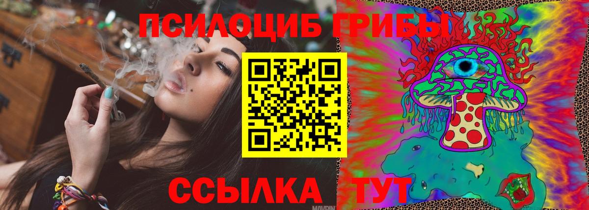 Псилоцибиновые грибы прущие грибы Черемхово